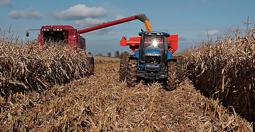 red combine harvesting corn