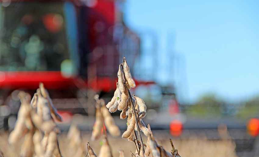 soybean-harvest-staff-dfp-5036.jpg