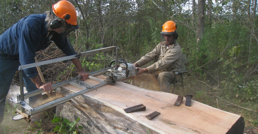 Historic red oak tree on Leopold property at Burlington was sawed into lumber Historic red oak tree on Leopold property at Burlington was sawed into lumber