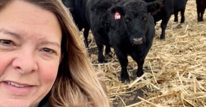 Jennifer and cattle