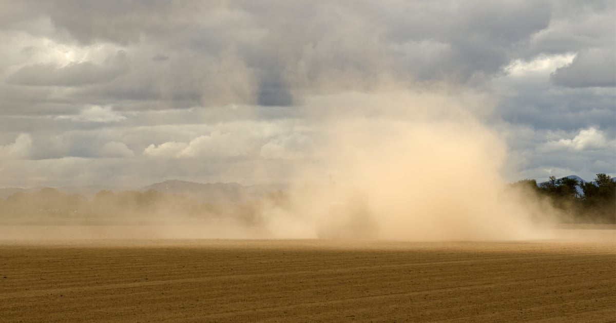 Prevent wind erosion of topsoil on your farm