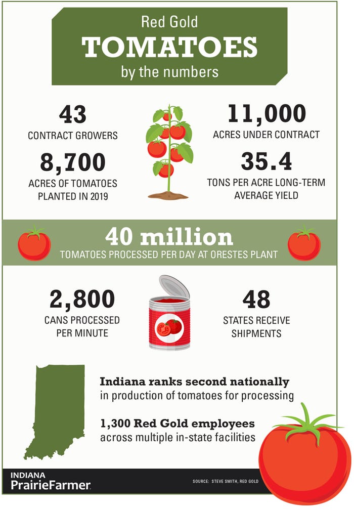 Red Gold tomatoes by the numbers infographic