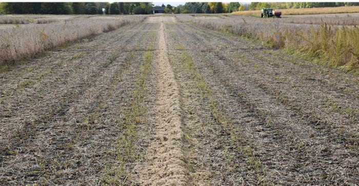 Narrow line to control weeds in field