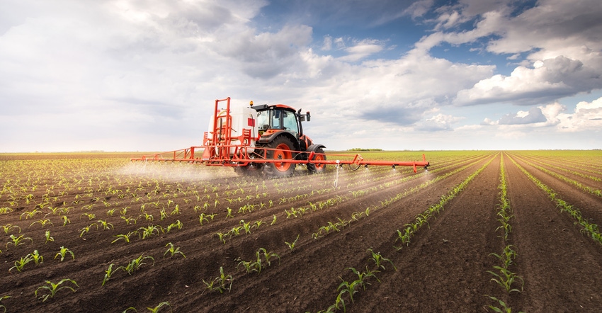 Tractor spraying pesticides on corn field with sprayer