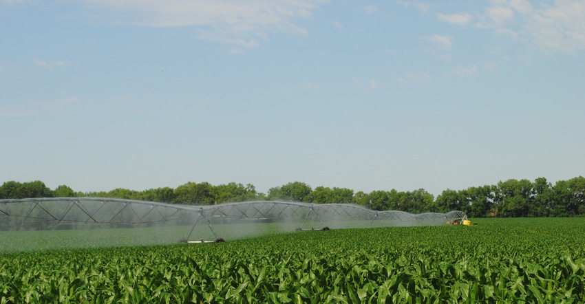 Corn field and irrigation equipment