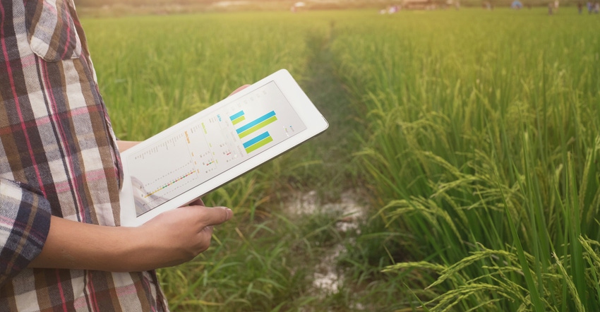 man on computer in wheat field man on computer in wheat field