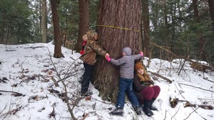 A group of young kids hug a tree on a wintry day