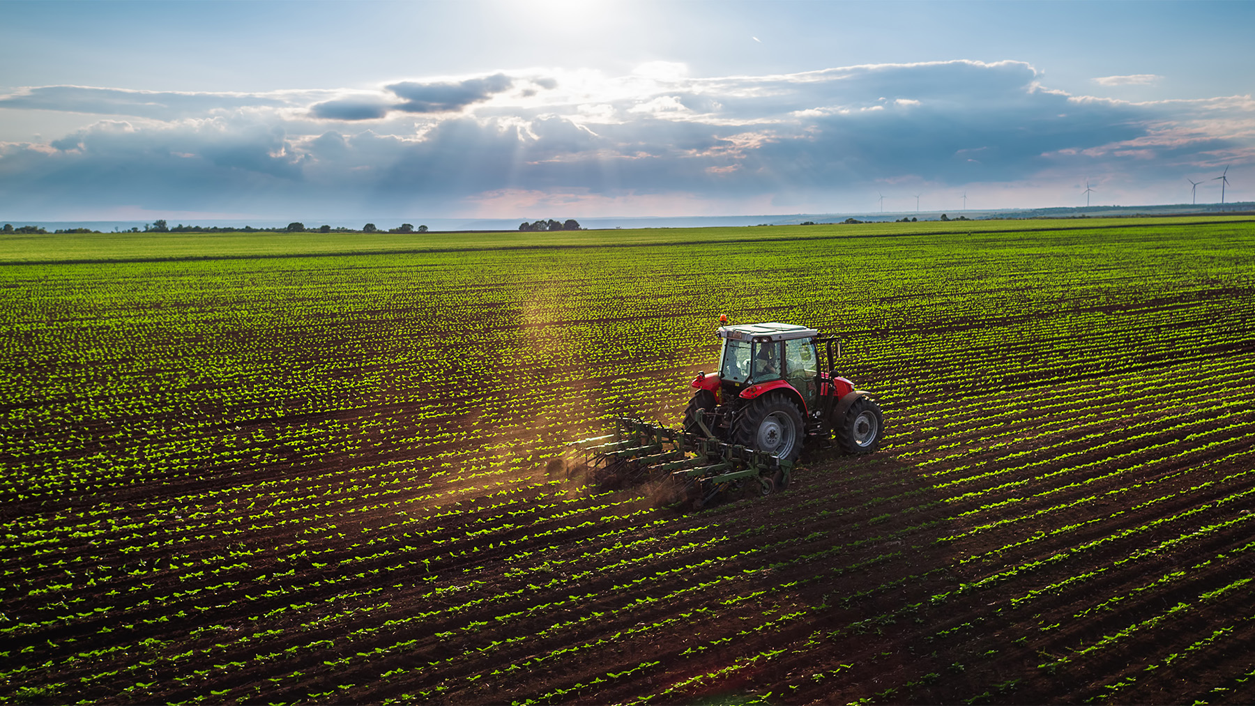 tractor cultivating field