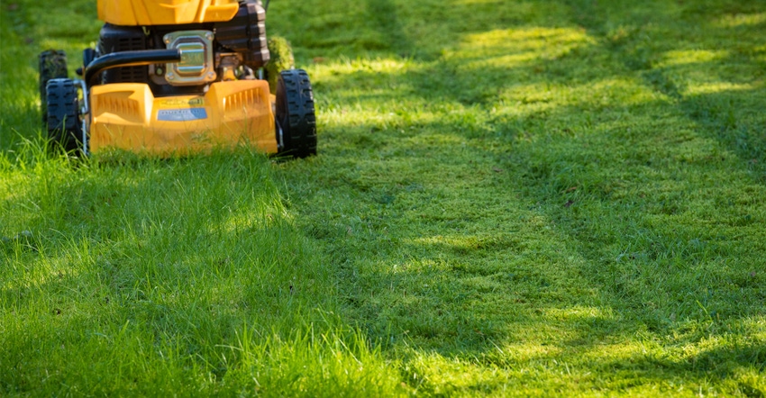 Lawn being mowed