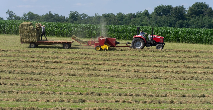 Small Tractor bailing hay