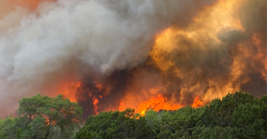 wildfire-texas-forest-service.jpg