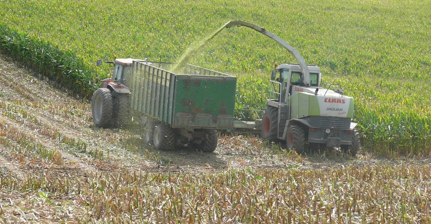 combine in corn field