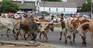 People attending Dodge city cattle drive