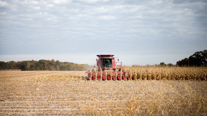 Red combine harvesting corn field