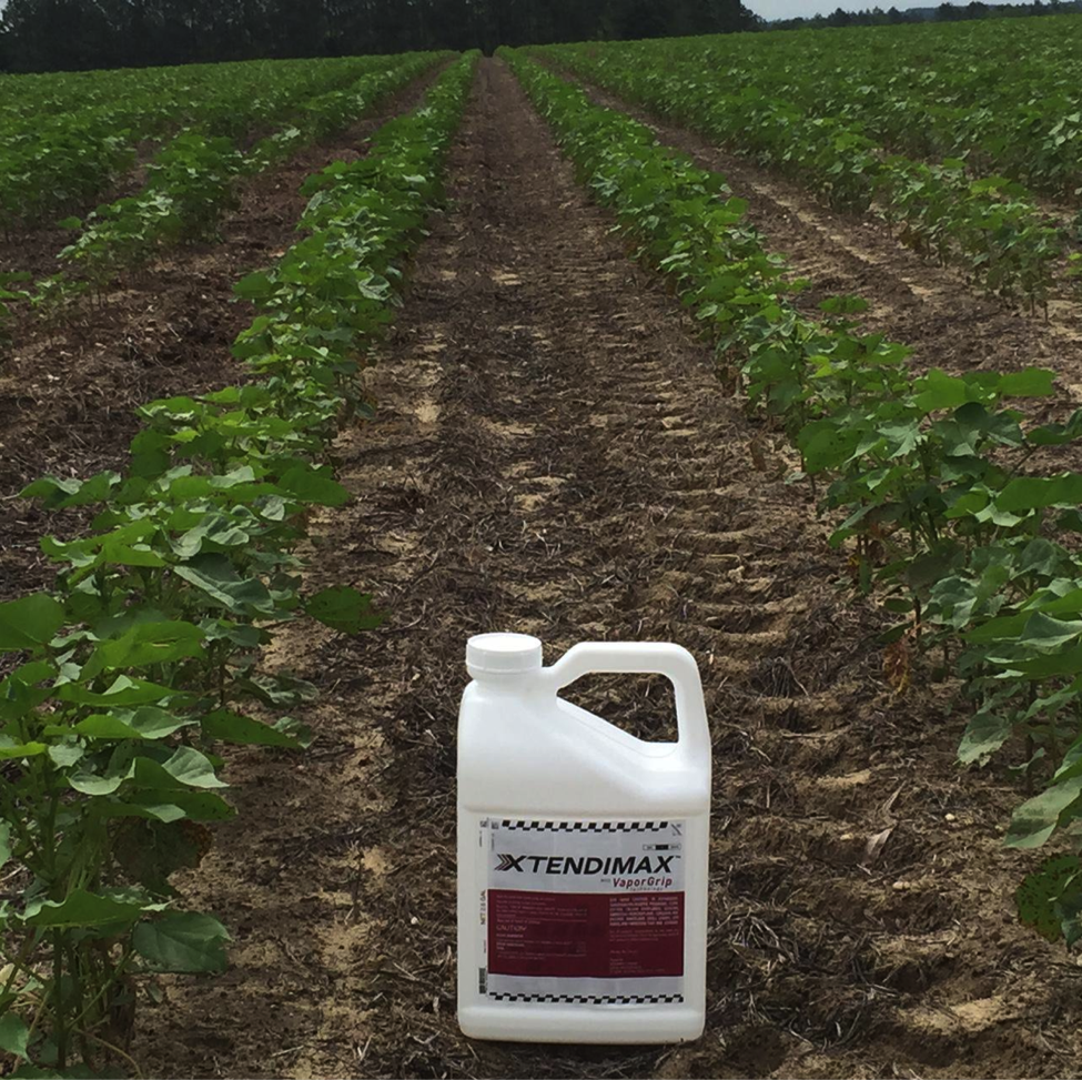 XtendiMax® Herbicide w/ Technology Helps Reclaim Fields