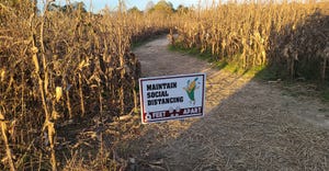 social distancing sign in corn maze