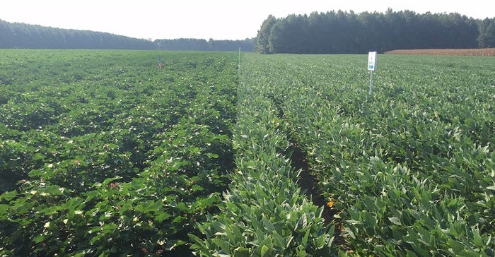 PHY Enlist cotton and Enlist soybeans 770x400.jpg