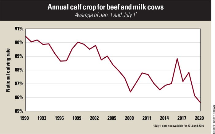 Annual calf crop for beef and milk cows