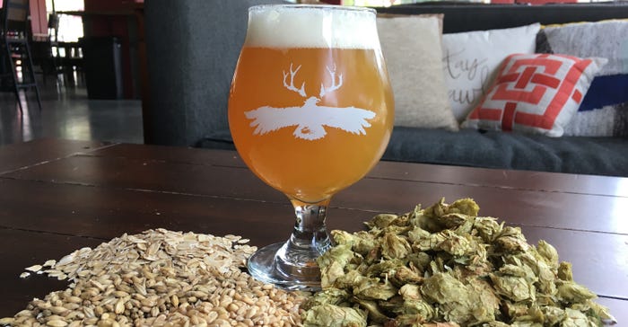 glass of beer surrounded by oats and hops on a table