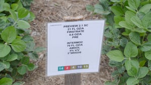  A sign between two rows of soybeans