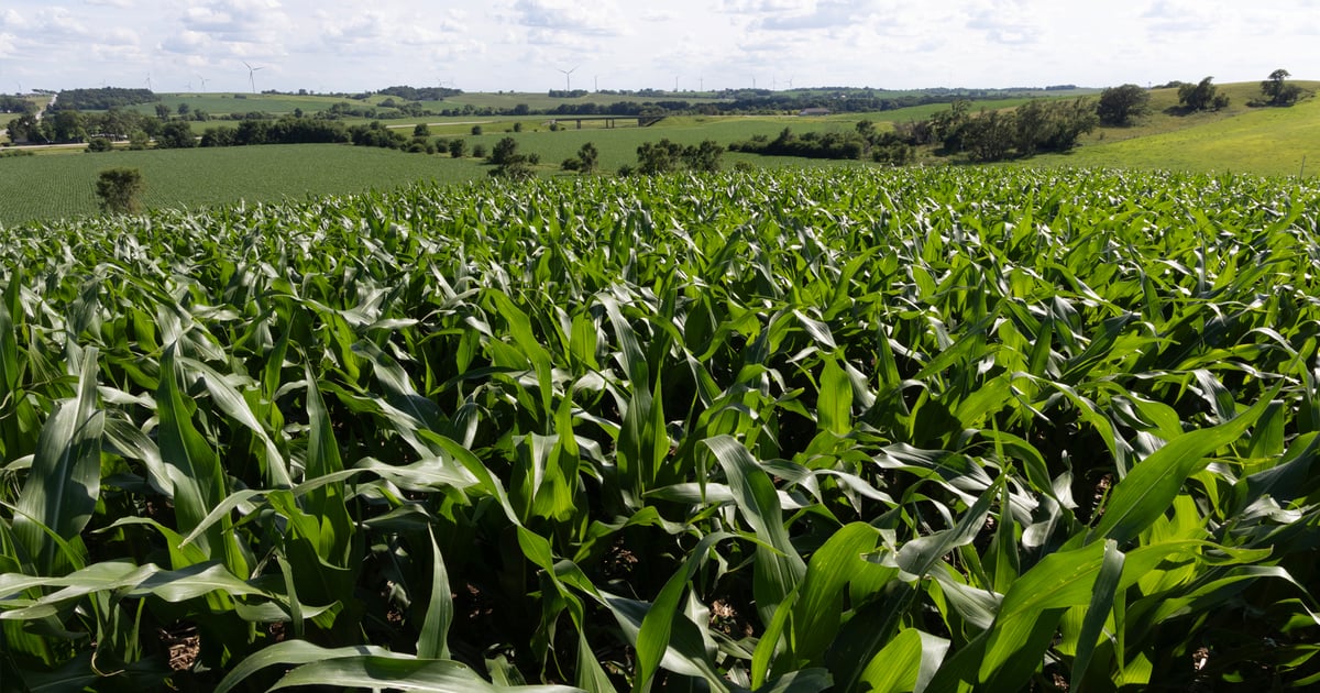 Is now a good time to buy farmland?