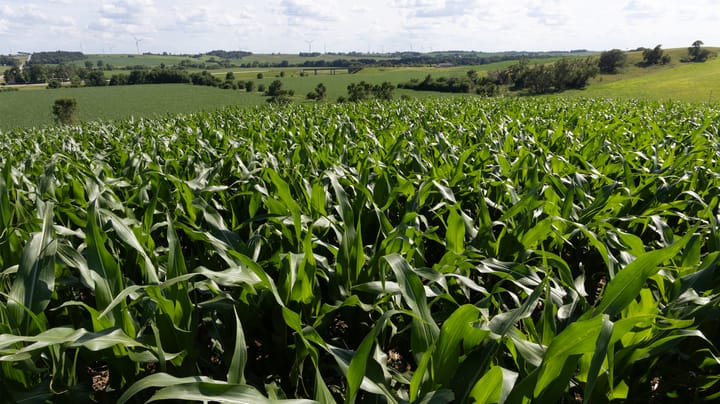 Is now a good time to buy farmland?
