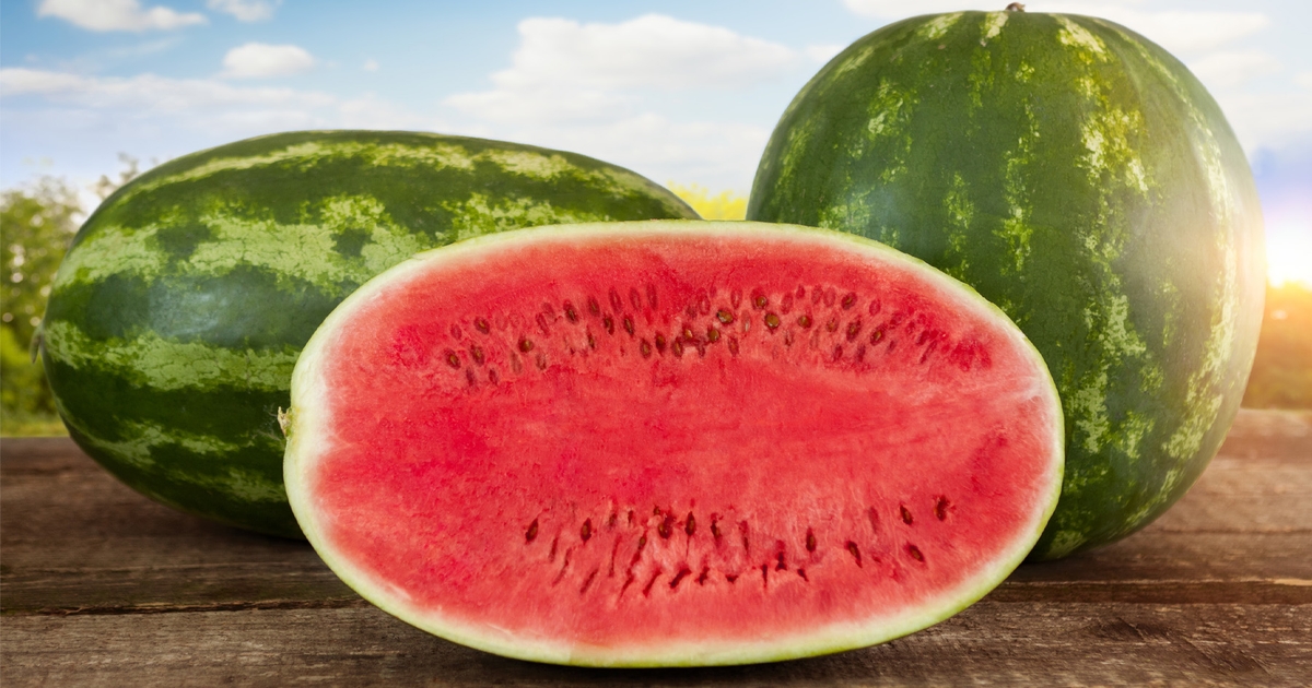 Watermelon Yields Up, May Rain Hurts Quality