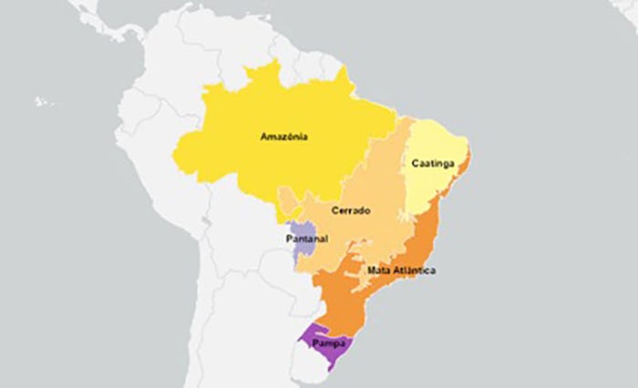 Brazil’s vastly different ecoregions.