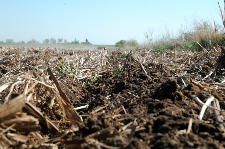 8 Tillage Tips for Saturated Soils and Late Corn Planting