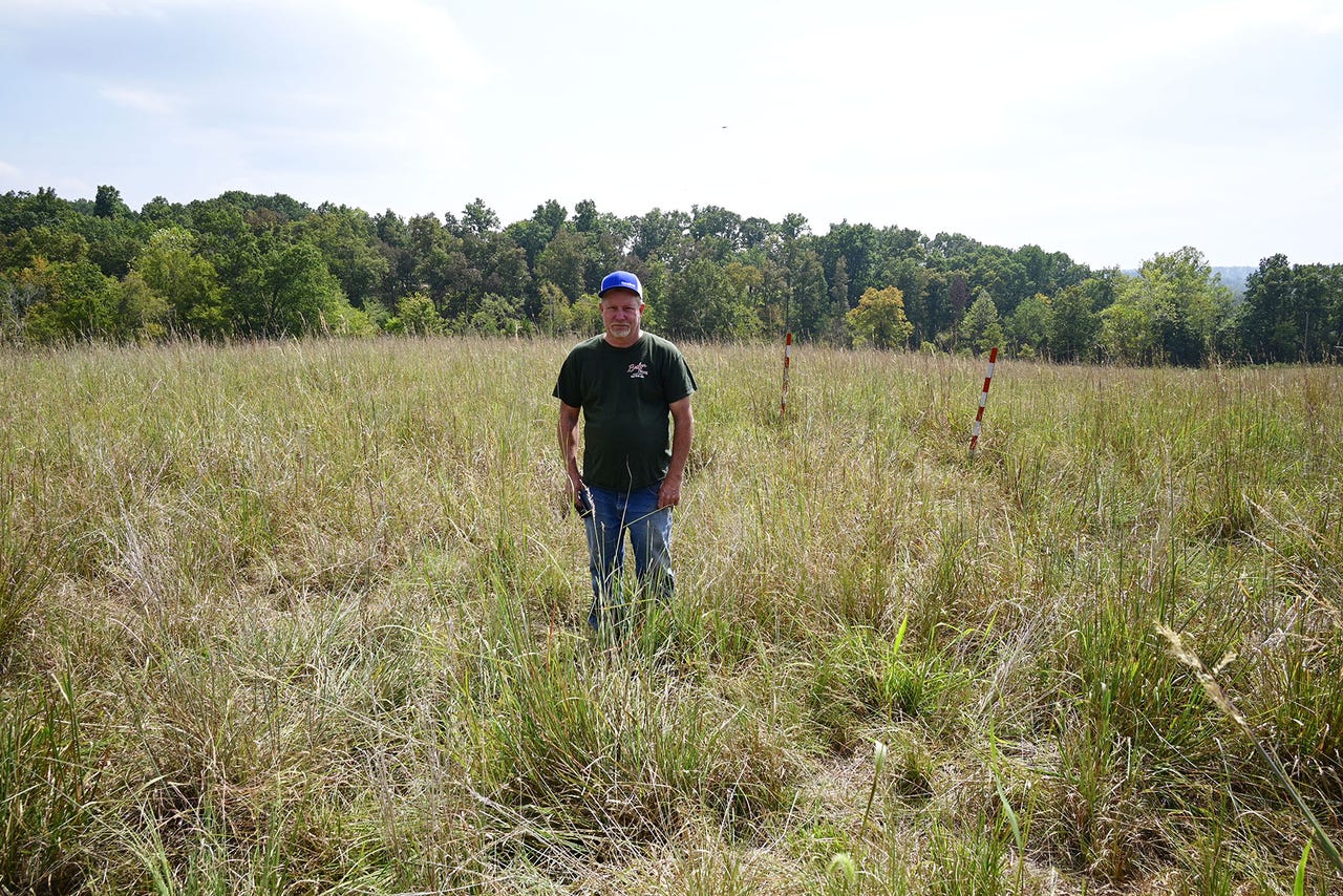 Farmer stands in a field of native grasses