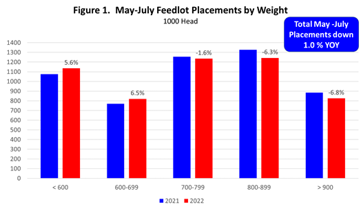 Feedlot placements by weight