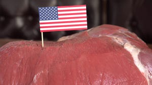American flag on toothpick stuck in beef 