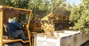 WFP-todd-fitchette-pistachio-harvest1.jpg
