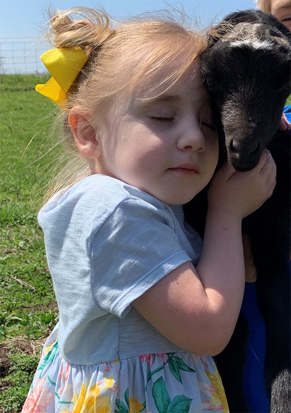 A young girl snuggling with a baby goat