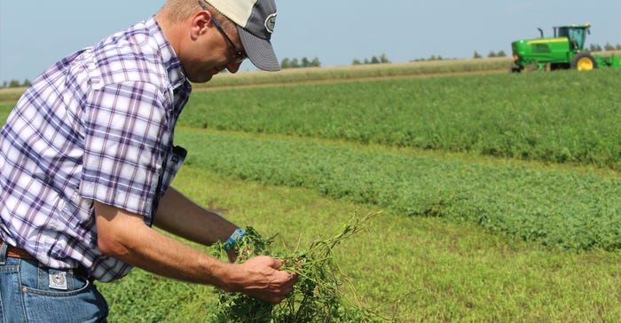 Man holding alfalfa