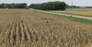 drone flying over corn field