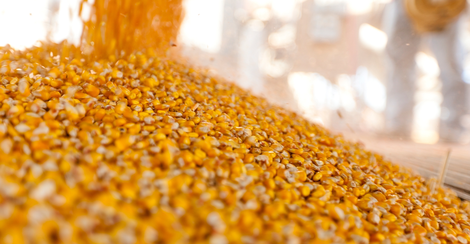 CHS to build new shuttle elevator in Erskine, Minn.