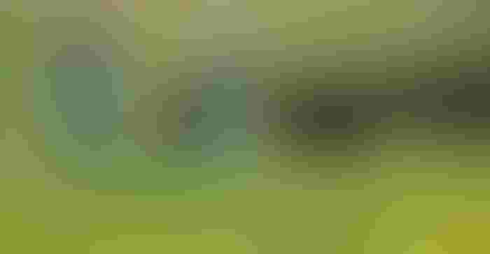 0513H1-3201b-1540x800.jpg 0513H1-3201b-1540x800.jpg
