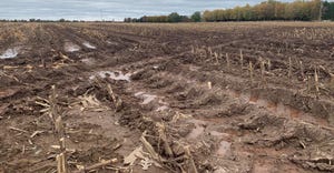 wet, rutted field after harvest