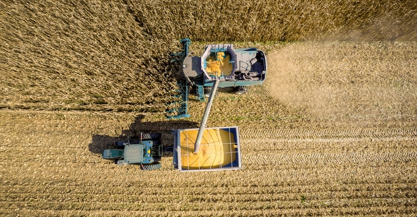 aerial view of combine harvesting cornfield