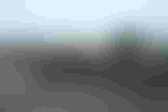0429H1-1417C-584x391.jpg 0429H1-1417C-584x391.jpg