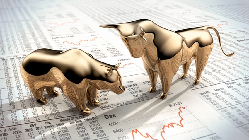 Bull and bear on market chart