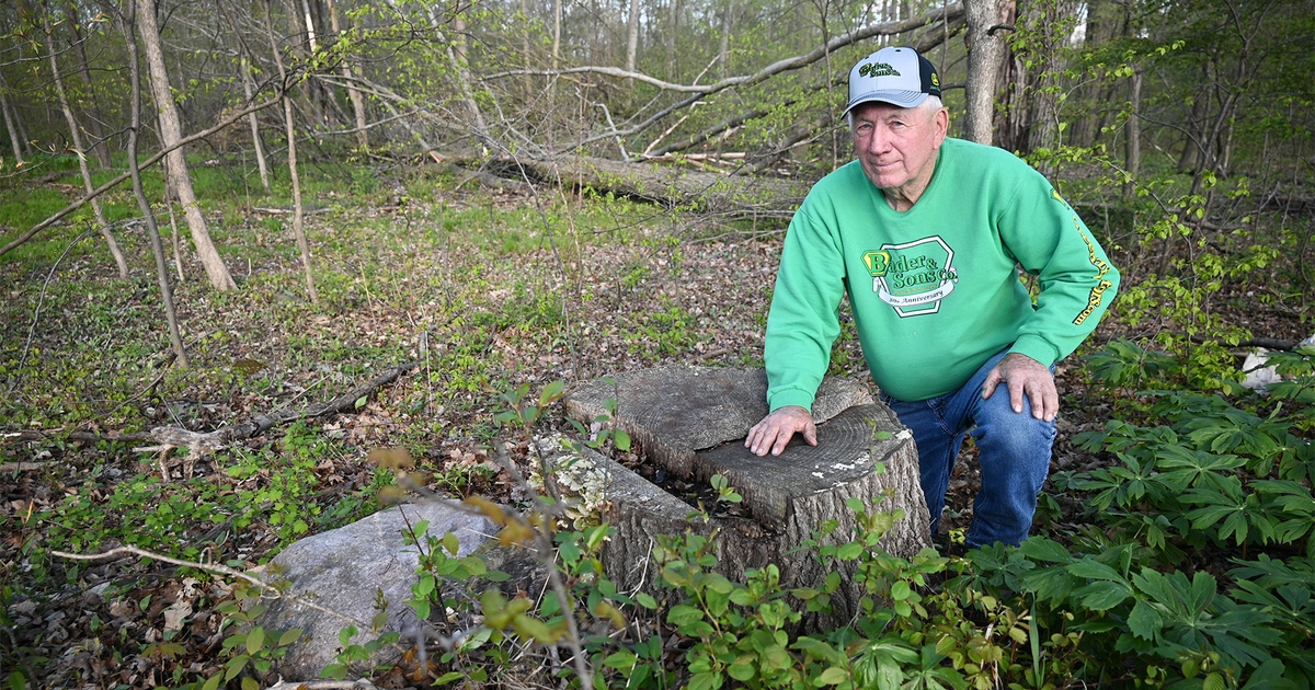 Timber Turmoil: Crew Crosses Property Line, Takes 12 Mature Oak Trees