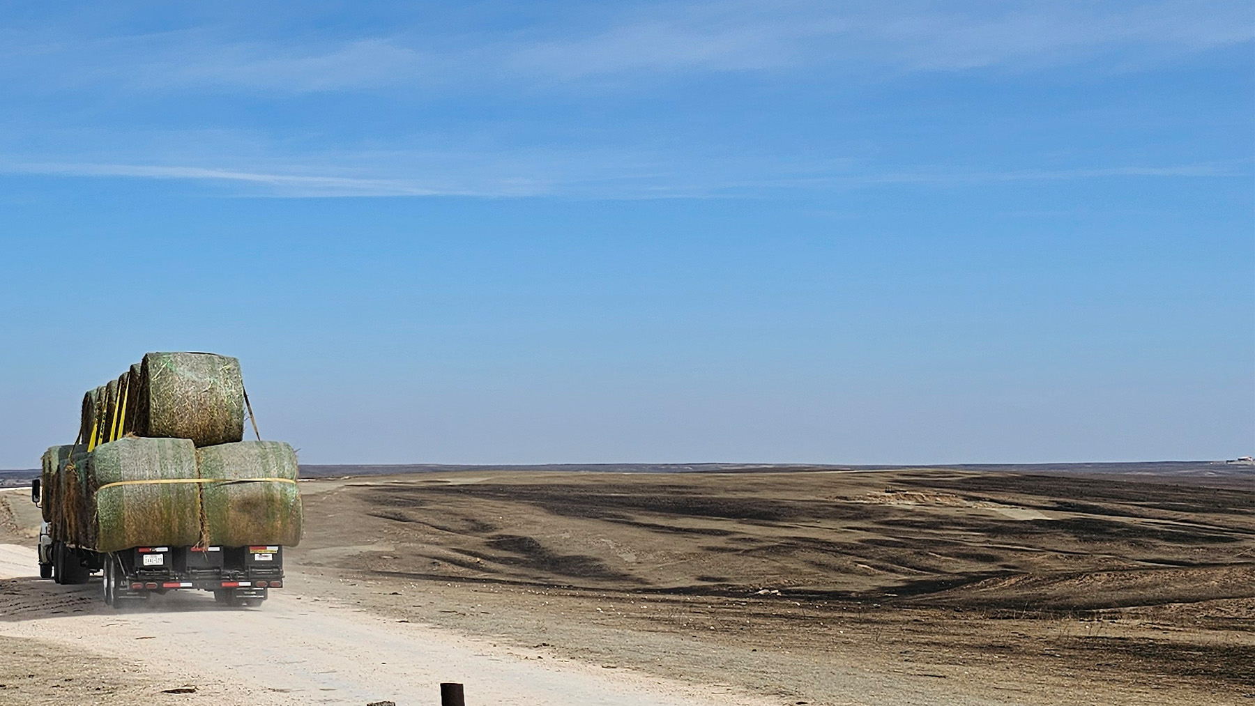 donated hay, burned rangeland, Texas Panhandle