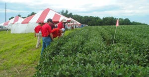 Attendees review corn field at Soybean Management Field Days