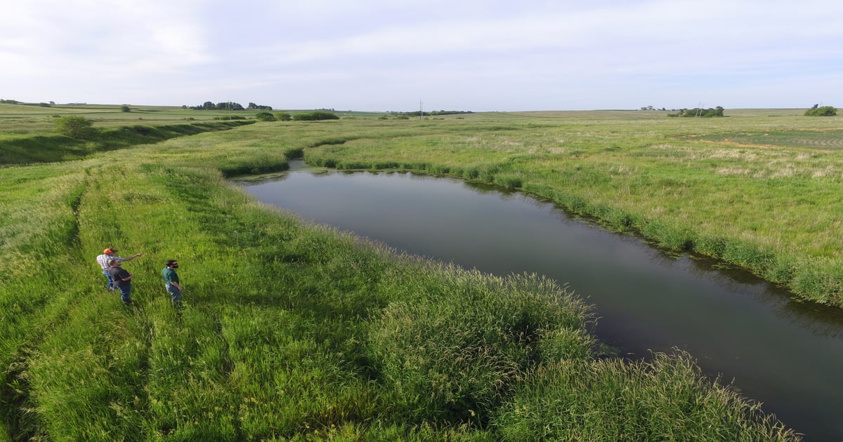 Cull unprofitable land