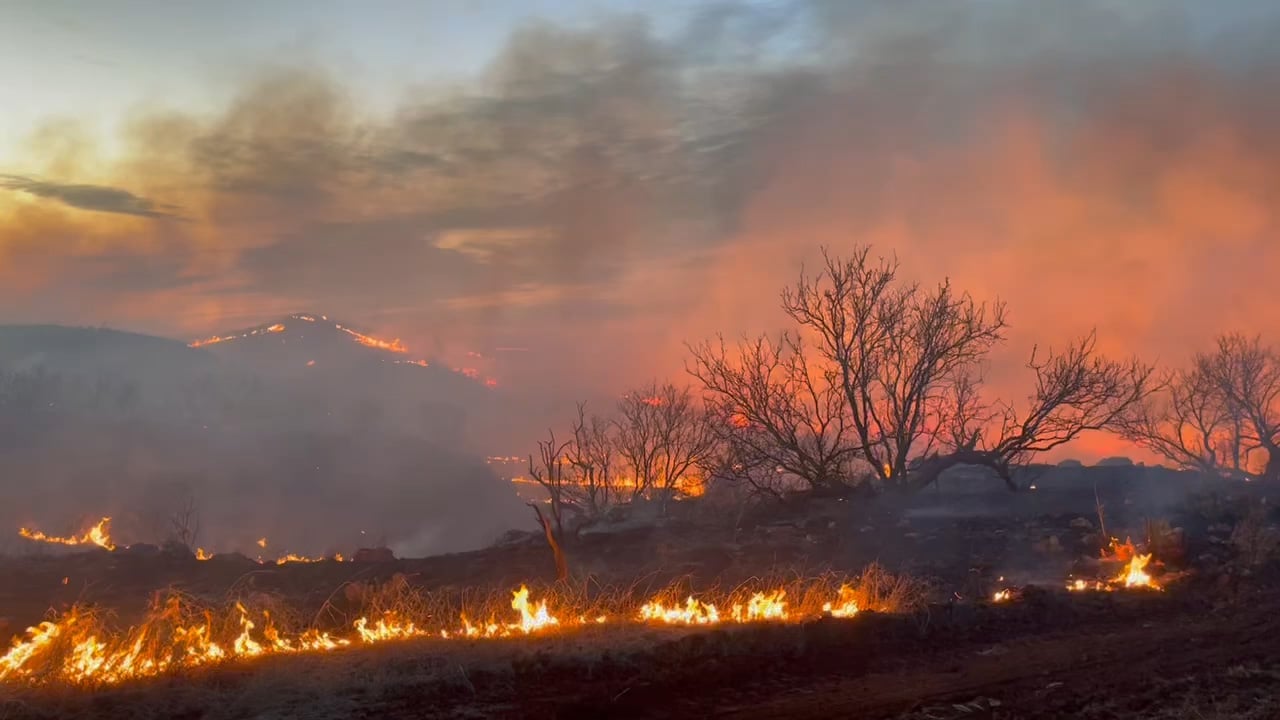 Texas Panhandle: 4 wildfire donation tips - Vimarsana News