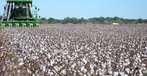cotton-harvest.jpg