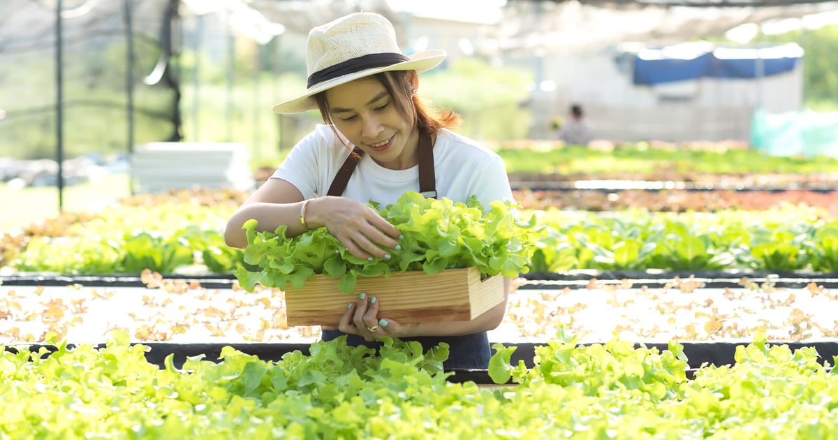 Unique places that offer funding for women in agriculture