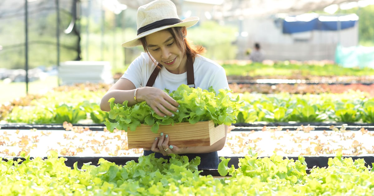 Unique places that offer funding for women in agriculture